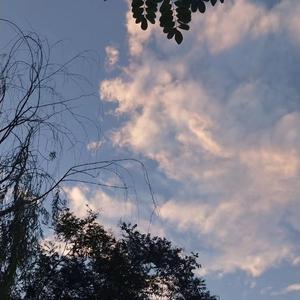 三十路四十路五十路乱伦国产
